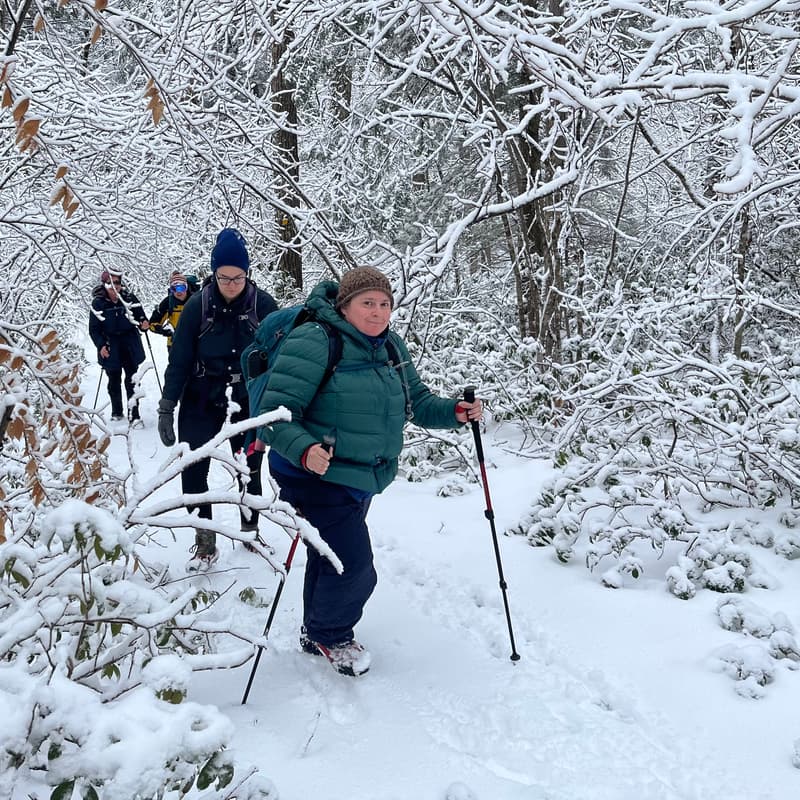 Cover Image for Winter Shoreline Stroll - Massachusetts