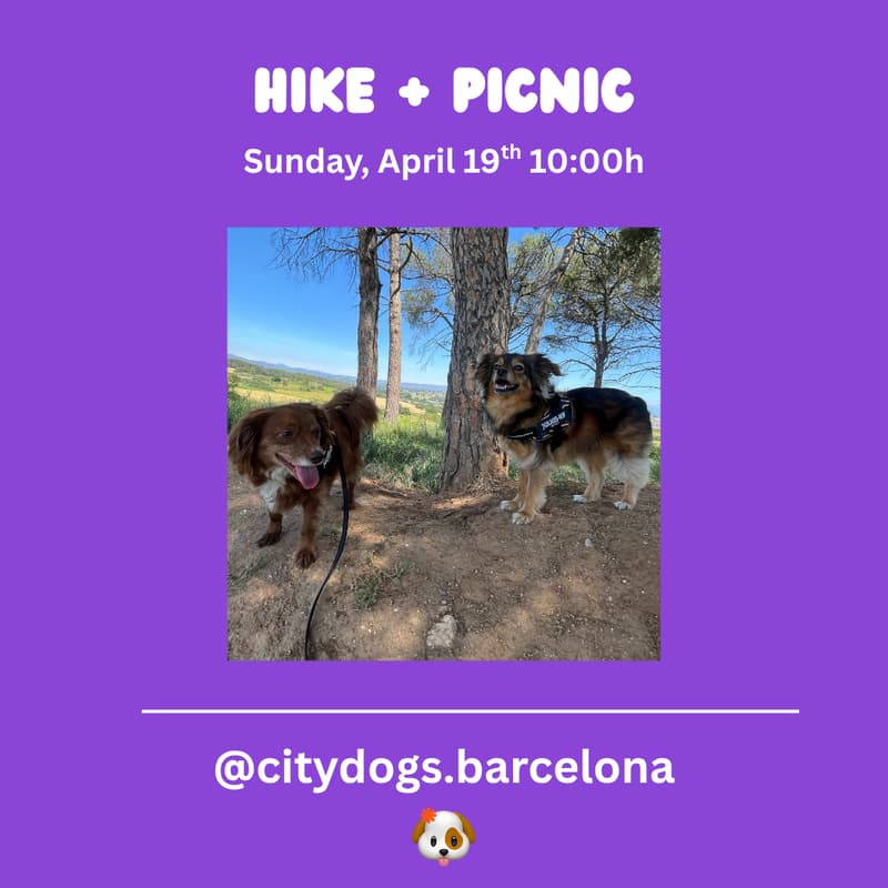Cover Image for Hike + Picnic