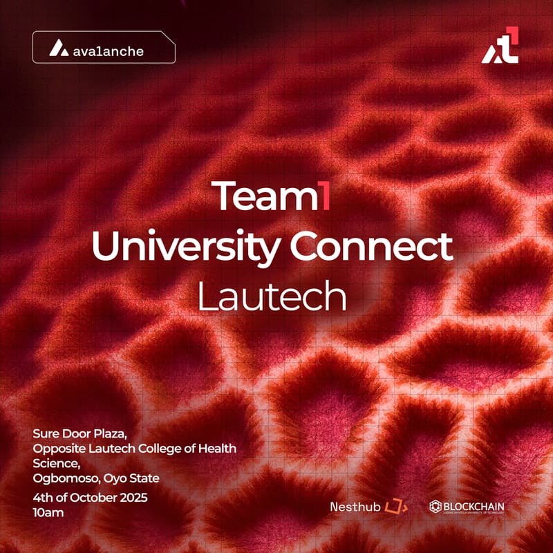 Cover Image for Team1 University Connect, LAUTECH.