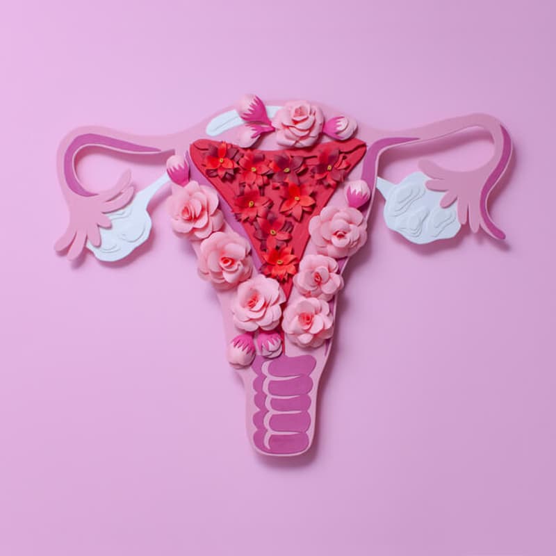 Cover Image for Sexual and Reproductive Health: A Key to Achieving Development Goals