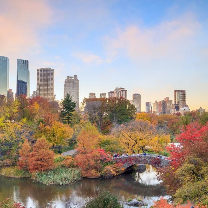 Cover Image for NeuroNYC Central Park Stroll | Oct 18th