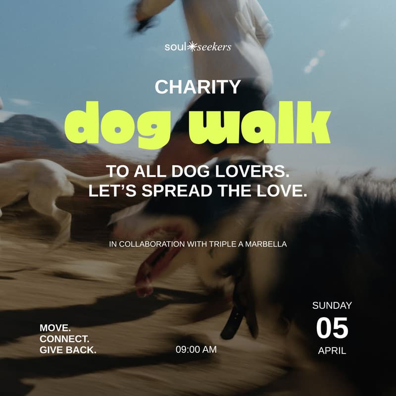 Cover Image for Triple A Charity Dog Walk - Vol. 2 🐾💛