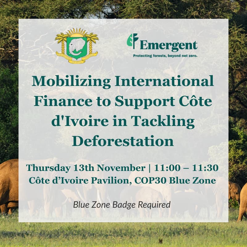 Cover Image for Mobilizing International Finance to Support Côte d'Ivoire in Tackling Deforestation