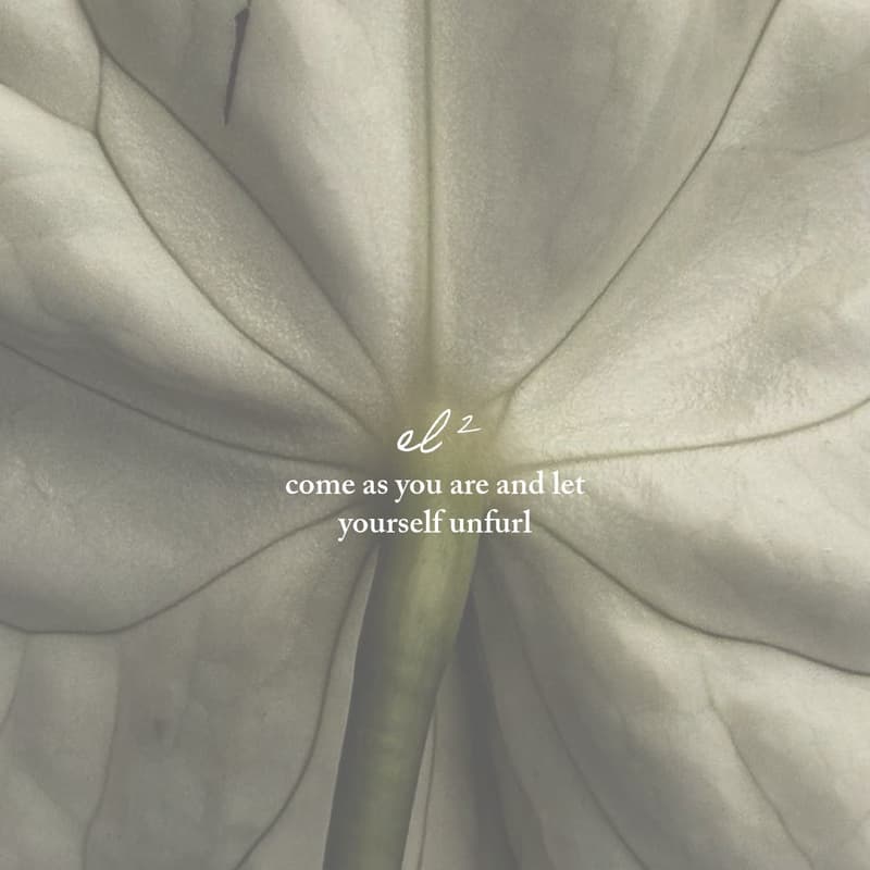 Cover Image for unfurl: spring yoga event