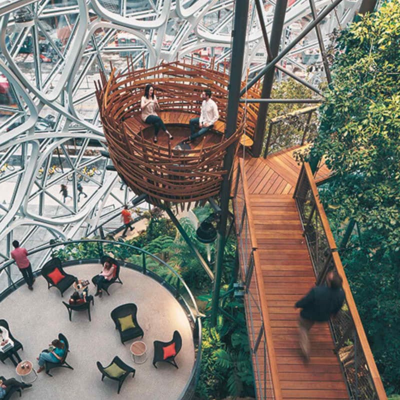 Cover Image for Nature-Inspired Cities: A Biomimicry Workshop for Designing the Future