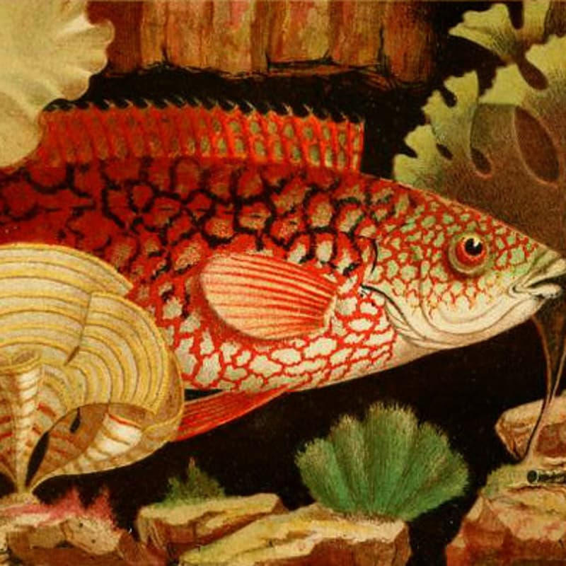 Cover Image for AI Literacy Salon