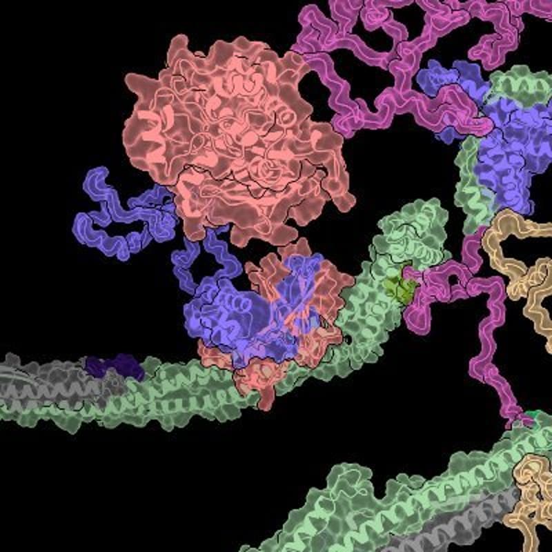 Cover Image for Machine Learning in Structural Biology
