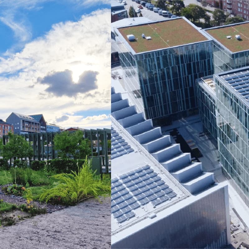 Cover Image for Workshop: From Urban Experimentation to Transformation — Insights from ULALABs