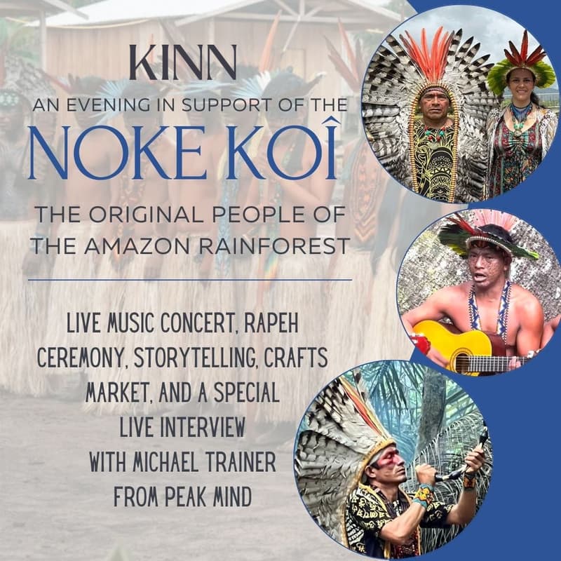 Cover Image for  An evening with a Noke Koi - concert + live interview + rapeh