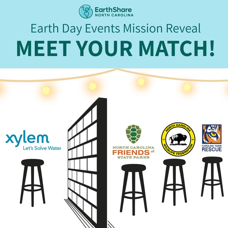 Cover Image for Triangle Mission Reveal: Meet Your Match!