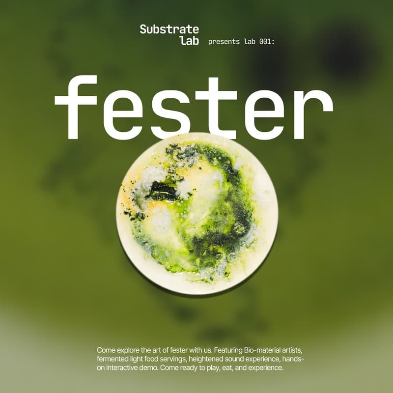 Cover Image for Substrate Lab: 001 Fester