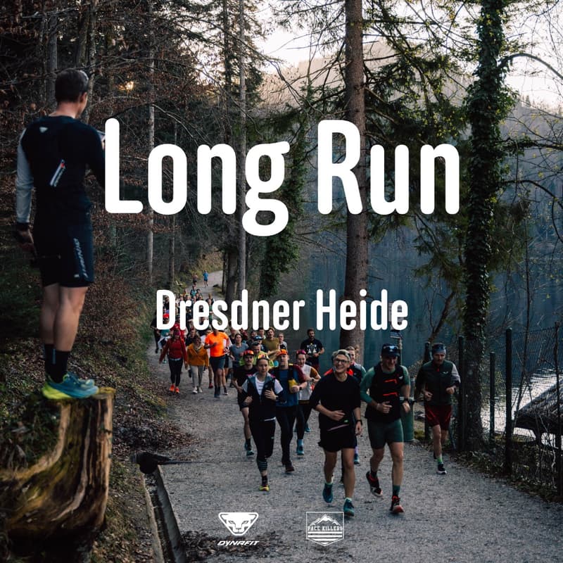 Cover Image for Long Run in der Dresdner Heide | Dynafit X PACE KILLERS