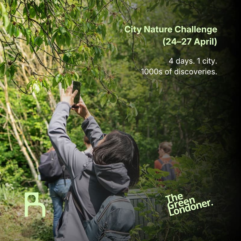 Cover Image for Join 1,000+ Londoners in the City Nature Challenge 2026 campaign (24–27 April)