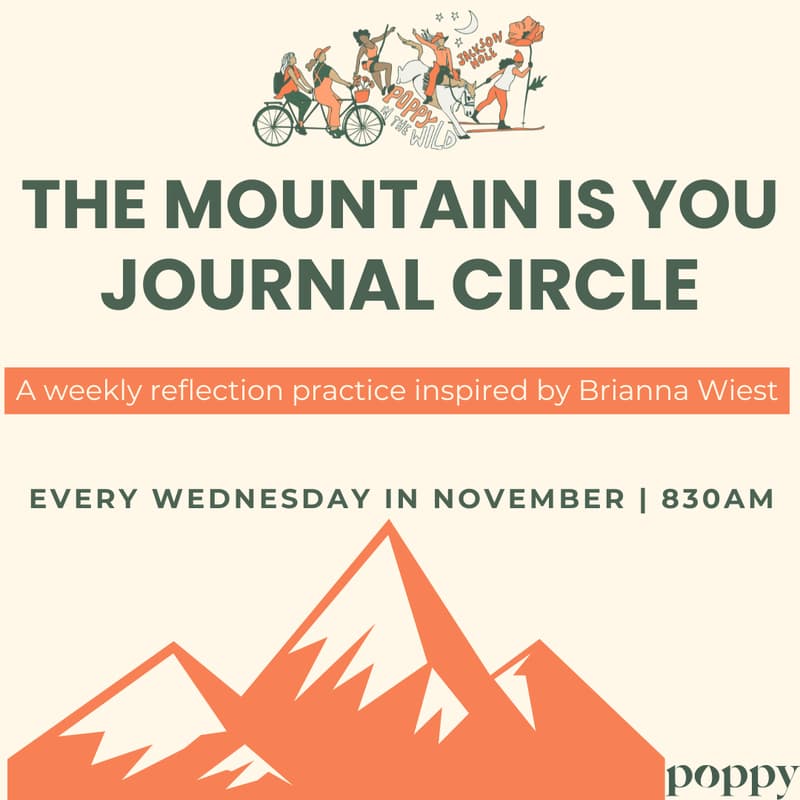 Cover Image for Journaling Circle: The Mountain is You