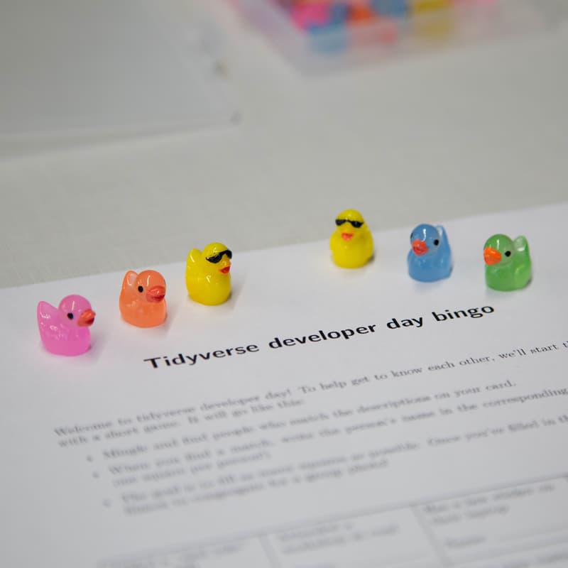 Cover Image for Tidy dev day