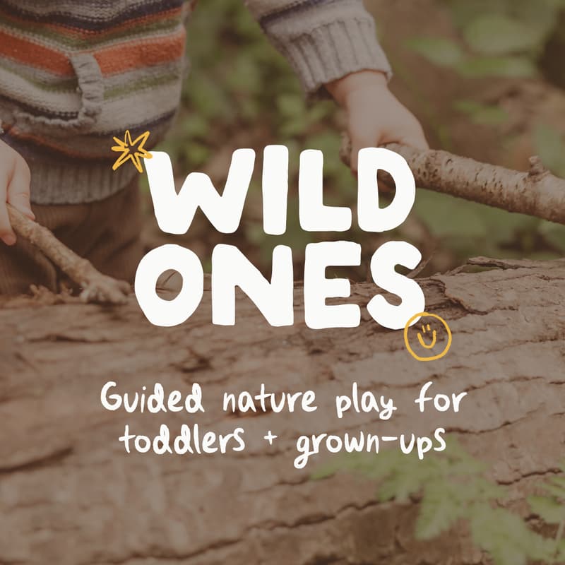 Cover Image for Wild Ones: Guided nature play for toddlers + grown-ups