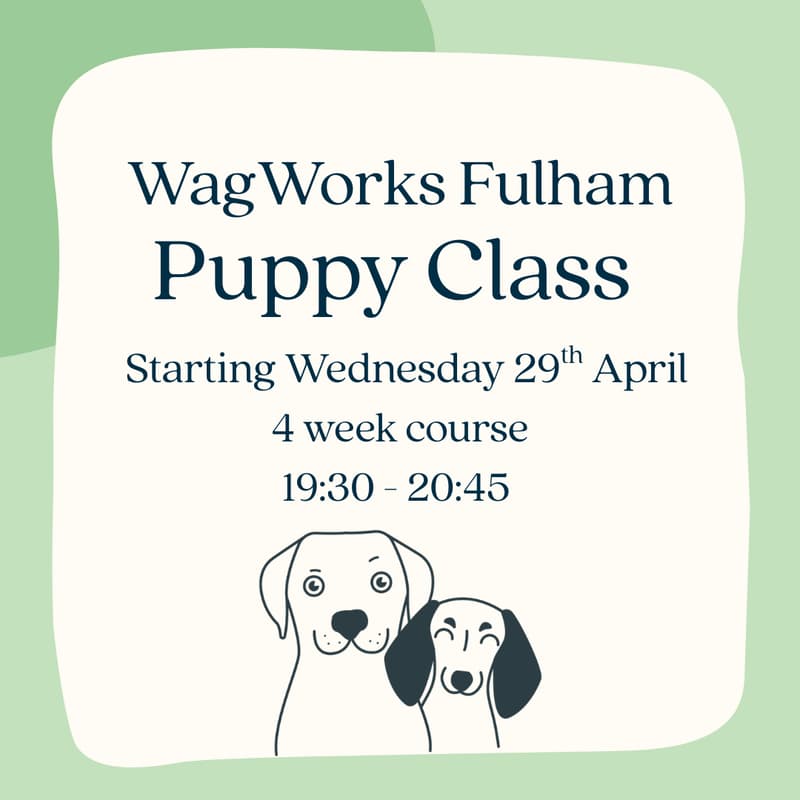 Cover Image for WagWorks Fulham Puppy Class