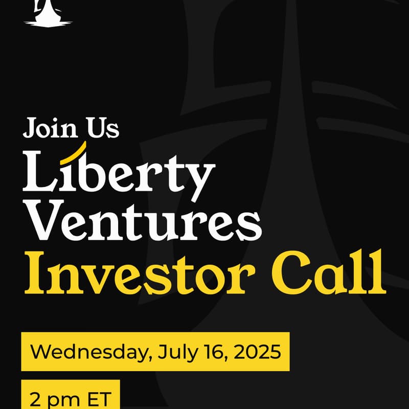 Cover Image for LV Investors Call