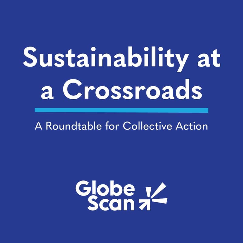 Cover Image for Sustainability at a Crossroads: A Roundtable for Collective Action