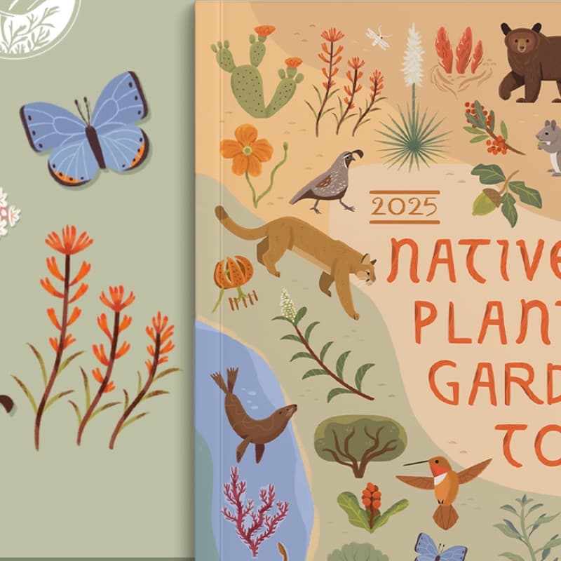 Cover Image for You are invited to a Garden Tour After Celebration!