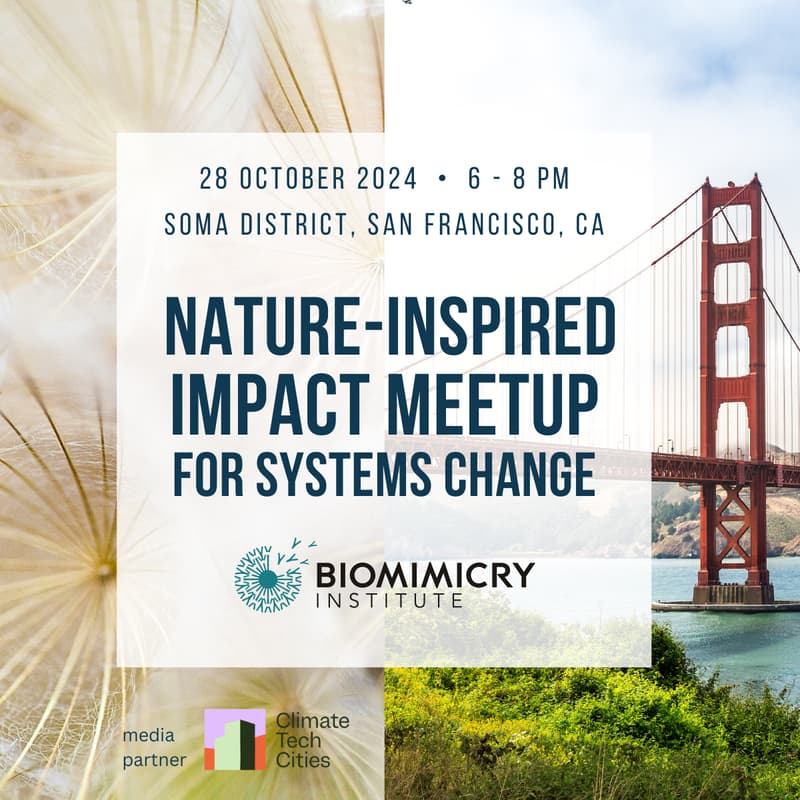 Cover Image for Nature-Inspired Impact: Meetup for Systems Change