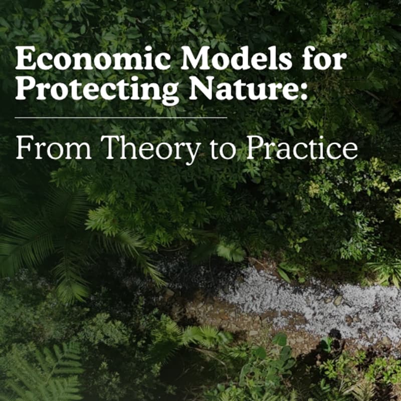 Cover Image for Economic Models for Protecting Nature: From Theory to Practice