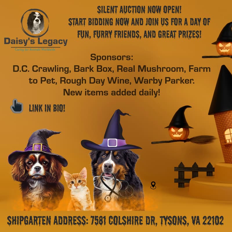 Cover Image for Daisy’s Legacy Launch Party at Dog-O-Ween Festival