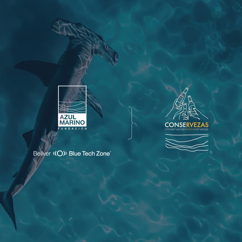 Cover Image for Conservezas: charlas ambientales