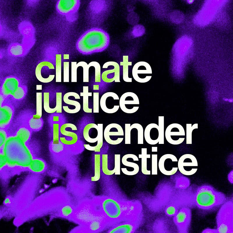 Cover Image for Afterwork debrief COP30