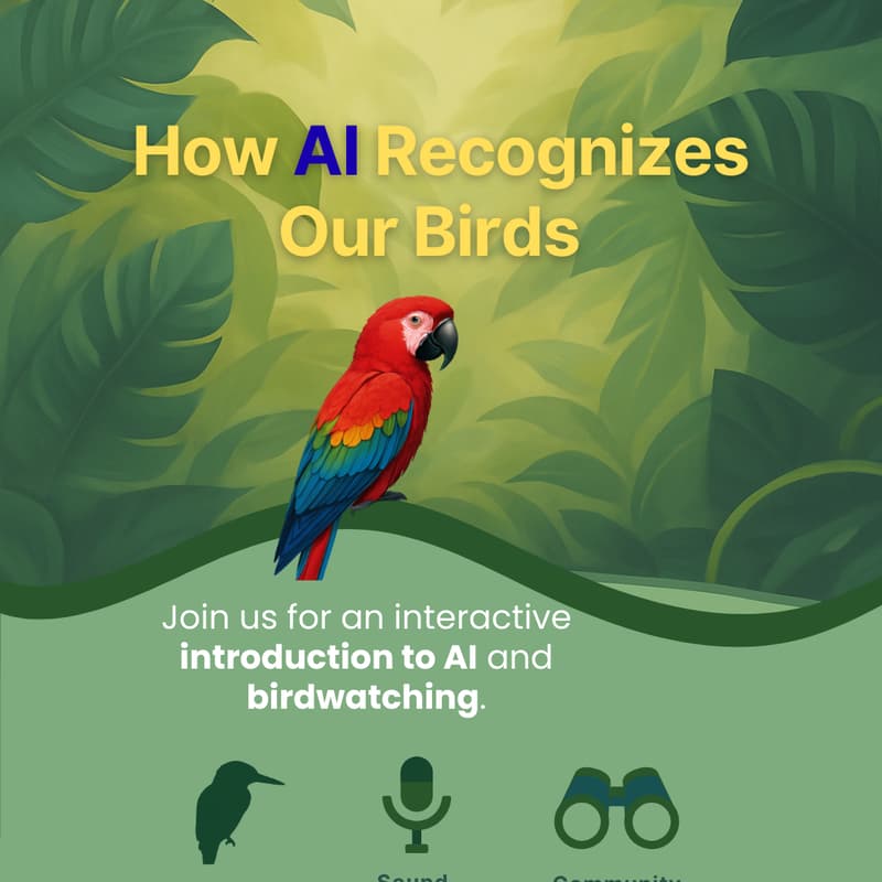Cover Image for AI + Birding for Young Learners: Discover How AI Identify Birds
