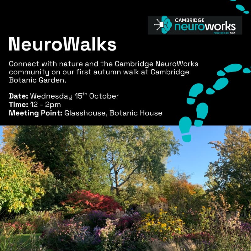 Cover Image for Cambridge NeuroWalks