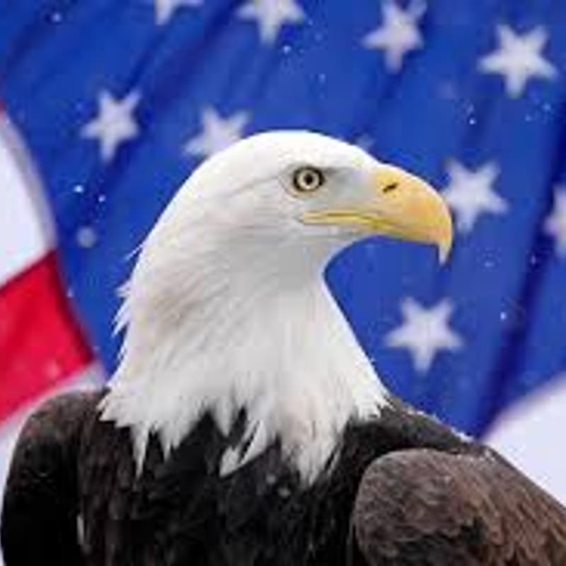 Cover Image for Govtech Happy Hour