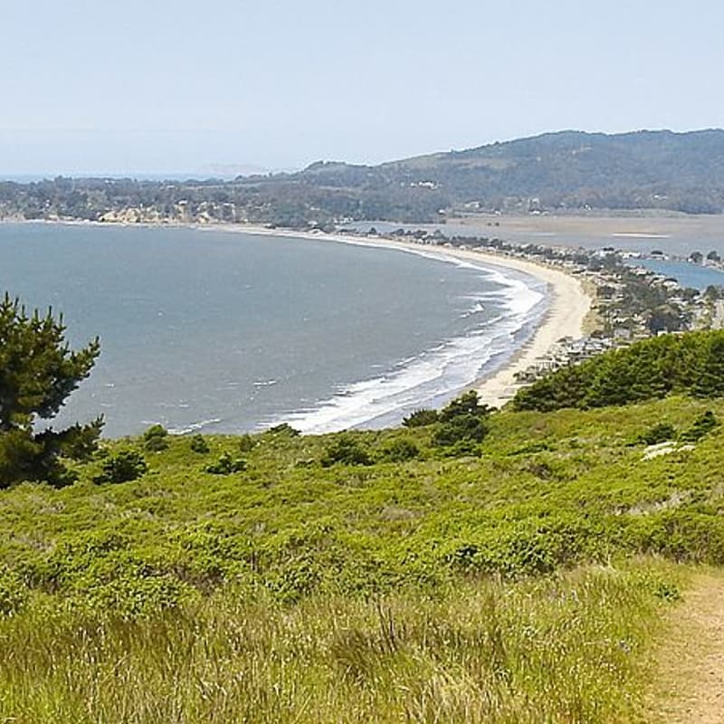 Cover Image for Stinson Beach to Muir Woods hike