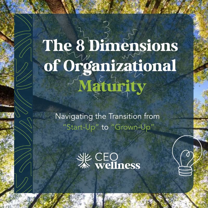 Cover Image for Masterclass: Navigate the "Start-up" to "Grown-up" Journey Like a CEO