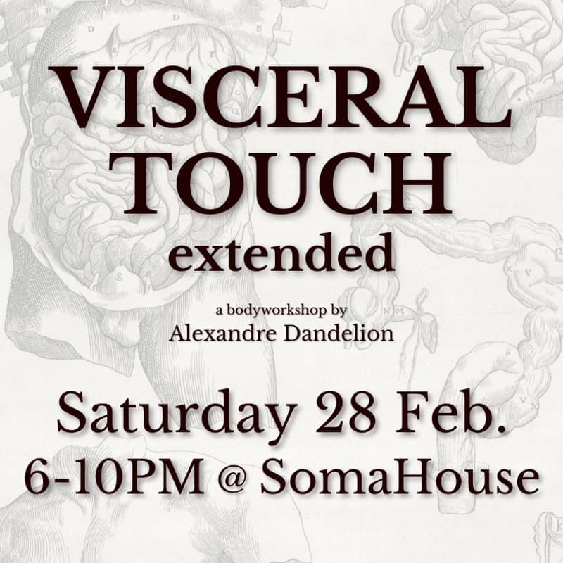 Cover Image for VISCERAL TOUCH extended @ SomaHouse