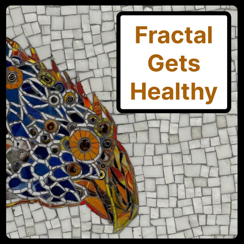 Cover Image for Fractal Gets Healthy