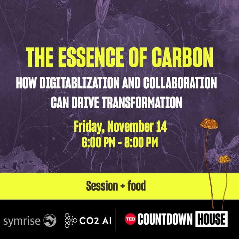 Cover Image for The essence of carbon: How digitalization and collaboration can drive transformation