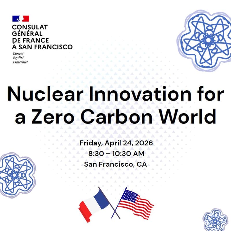 Cover Image for Nuclear Innovation for a Zero Carbon World
