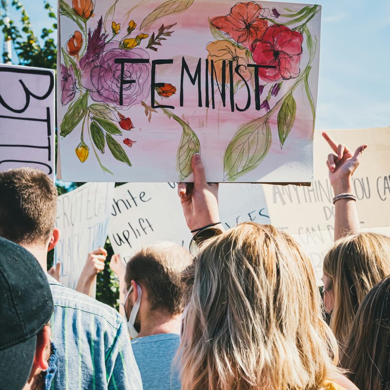 Cover Image for Book Therapy Project - Faux Feminism