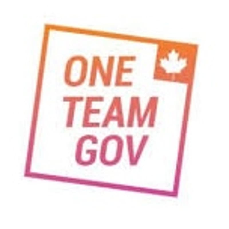 Cover Image for Virtual Holiday Party - OneTeamGov Canada