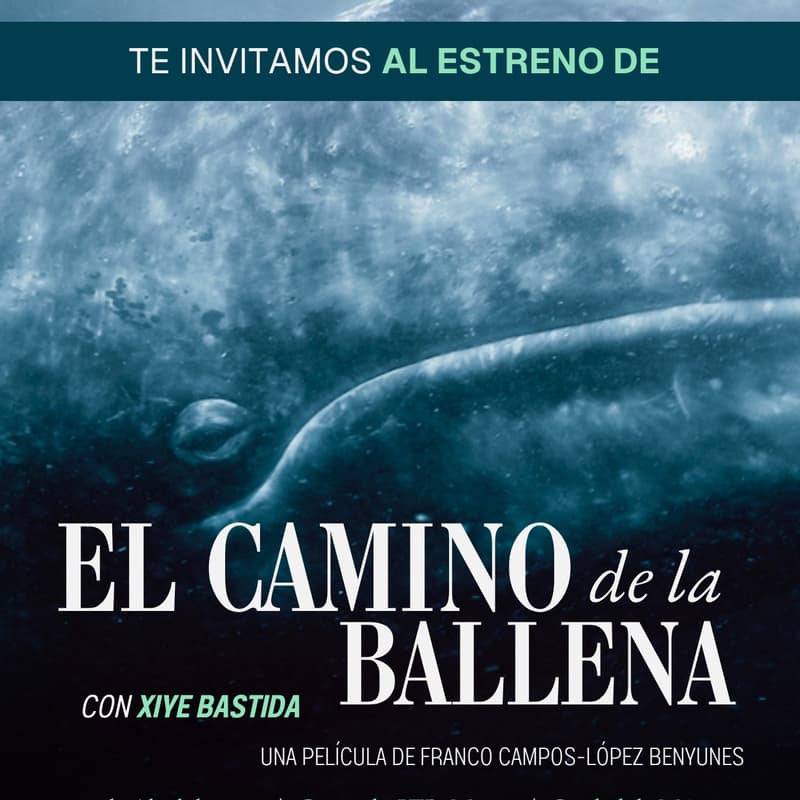 Cover Image for Estreno: "El Camino de la Ballena"