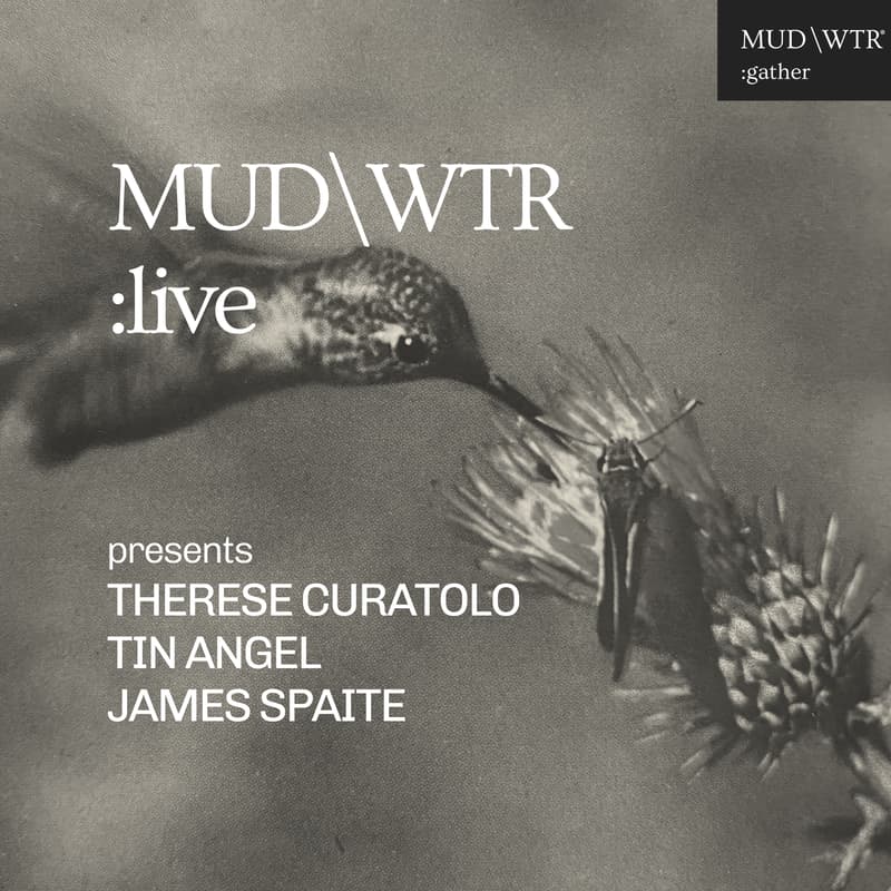 Cover Image for MUD\WTR Live: The Songwriter’s Room