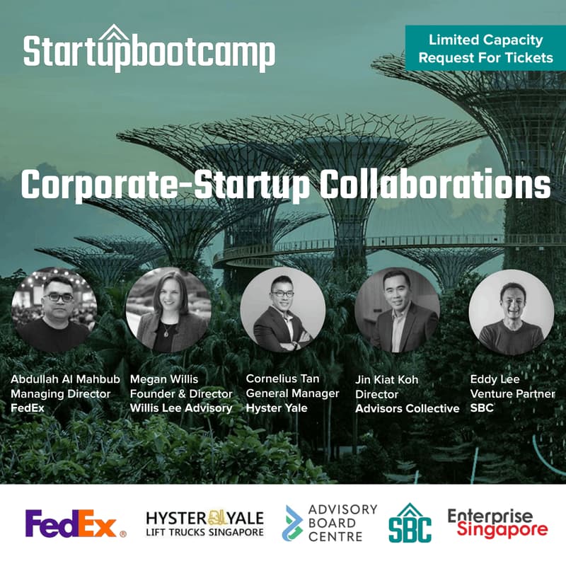 Cover Image for Corporate Startup Collaborations