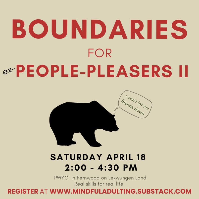 Cover Image for Boundaries for (ex-)people-pleasers II