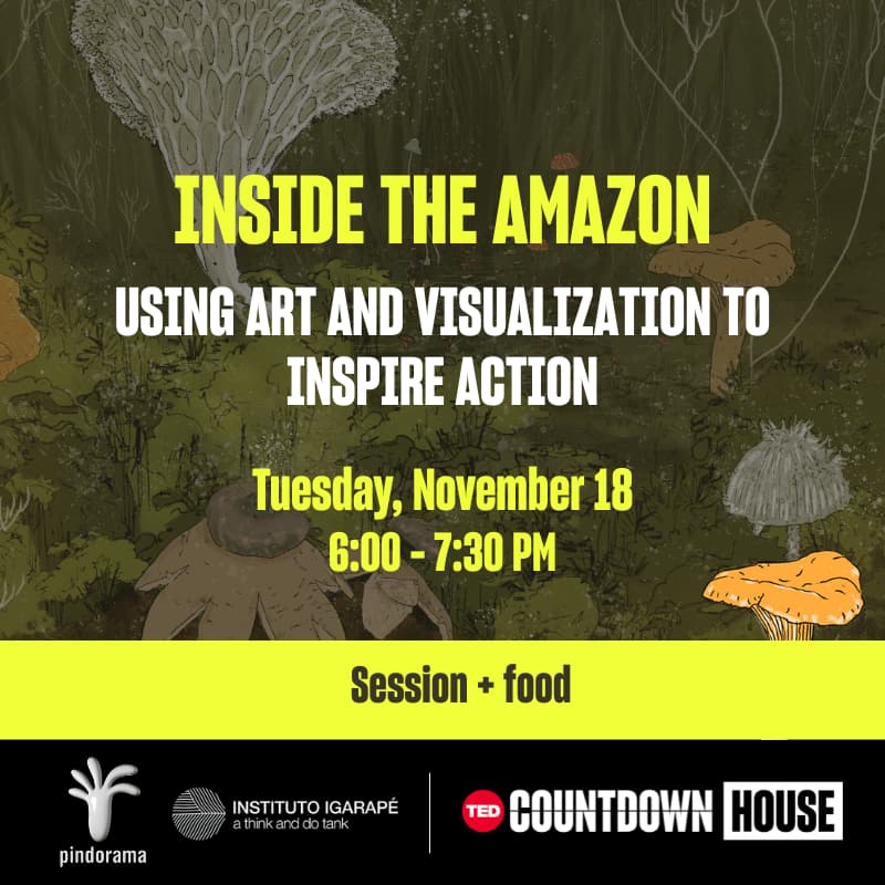 Cover Image for Inside the Amazon: Using art and visualization to inspire action