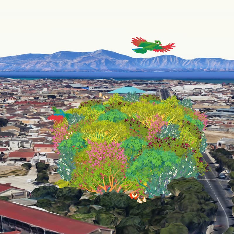 Cover Image for Urban Design & Mobility Forum: Tree's and Streets