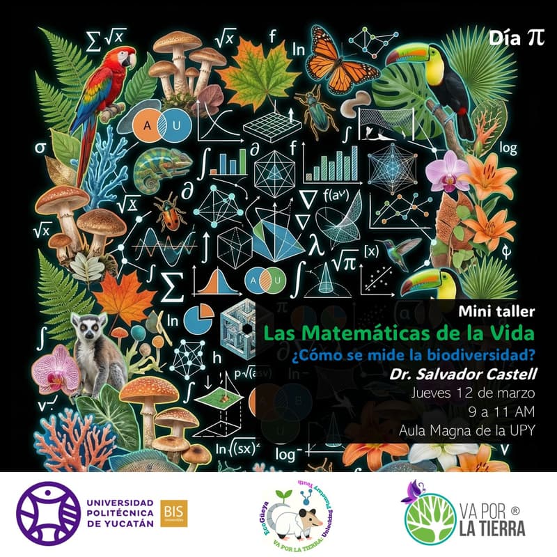 Cover Image for Las Matemáticas de la Vida