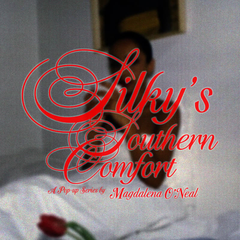Cover Image for Silky's Southern Comfort