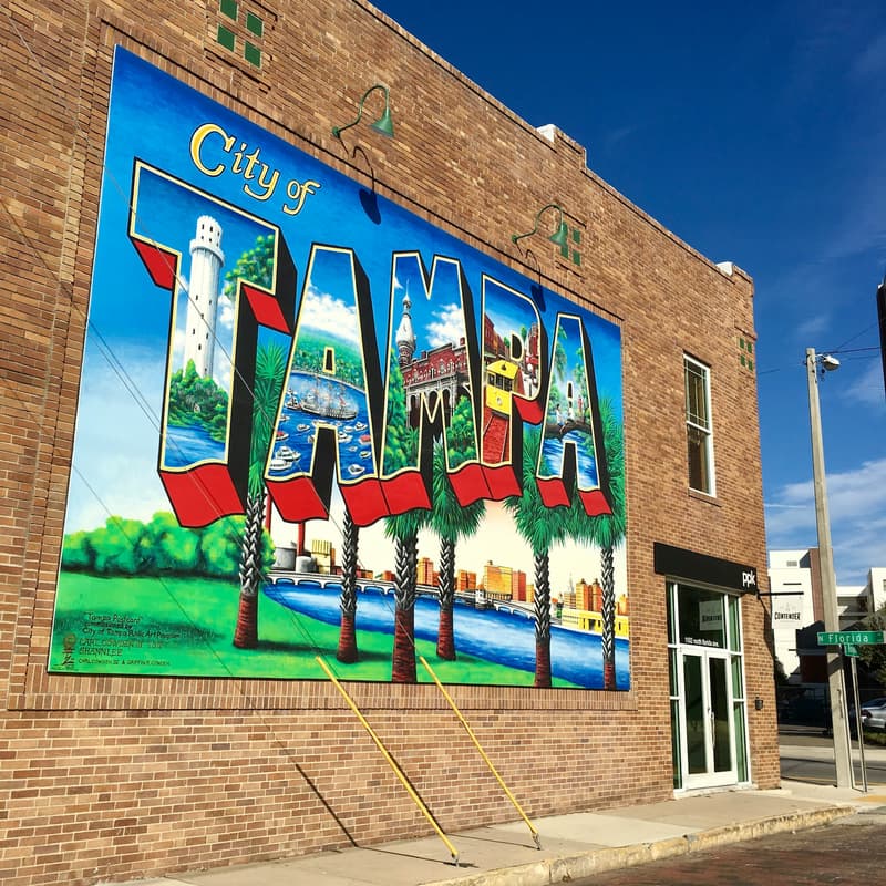 Cover Image for Tampa Privacy Pop-up