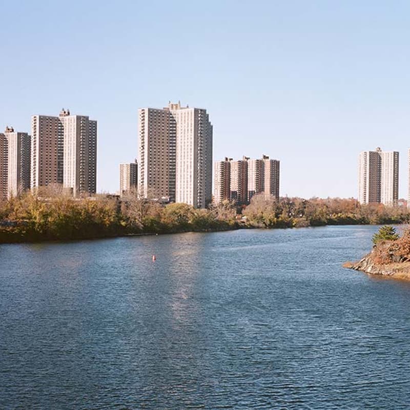 Cover Image for We <3 Cookie Cutter Housing